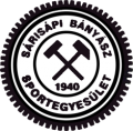 logo SÁRISÁPI BSE (22913)